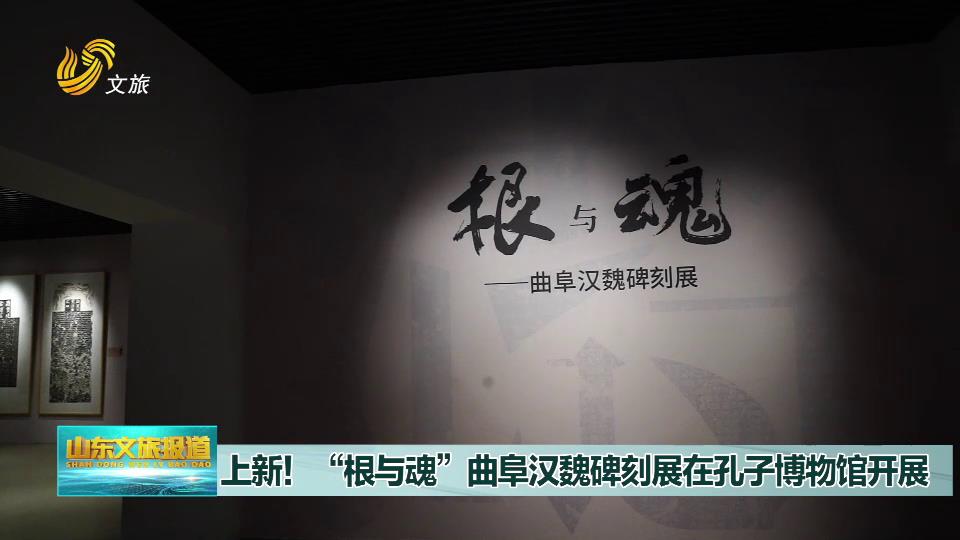 上新！“根与魂”曲阜汉魏碑刻展在孔子博物馆开展[00-00-08][20230625-174607896].jpg