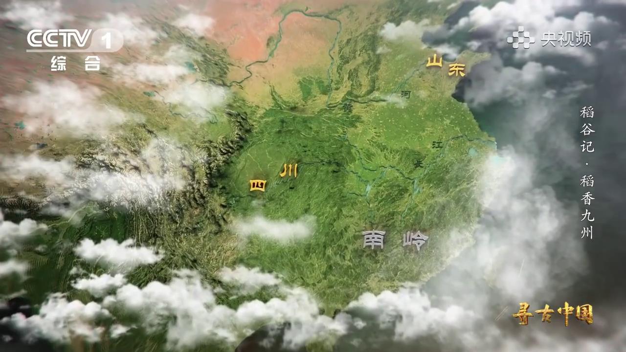 中国水稻3000年前传入朝鲜半岛和日本[00-00-04][20230823-131151733].jpg