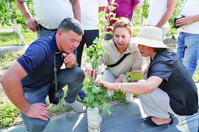 弘扬“中国-中亚精神”,推进共同现代化 弘扬“中国-中亚精神”,推进共同现代化